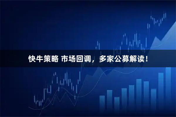 快牛策略 市场回调，多家公募解读！