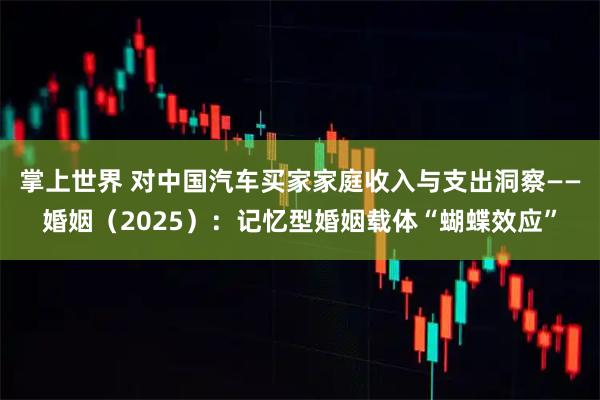掌上世界 对中国汽车买家家庭收入与支出洞察——婚姻（2025）：记忆型婚姻载体“蝴蝶效应”