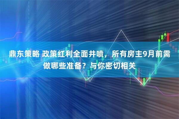鼎东策略 政策红利全面井喷，所有房主9月前需做哪些准备？与你密切相关