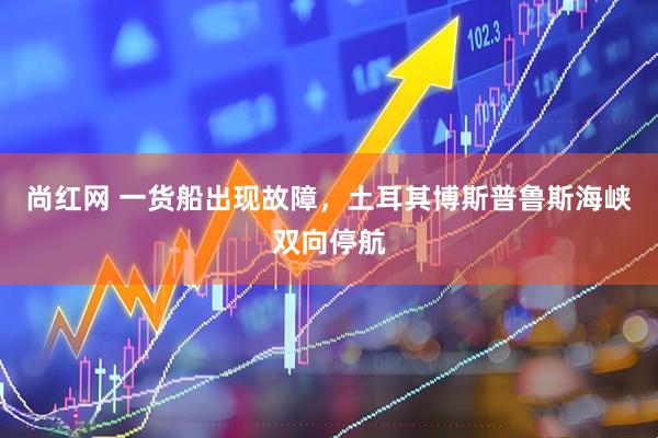 尚红网 一货船出现故障，土耳其博斯普鲁斯海峡双向停航