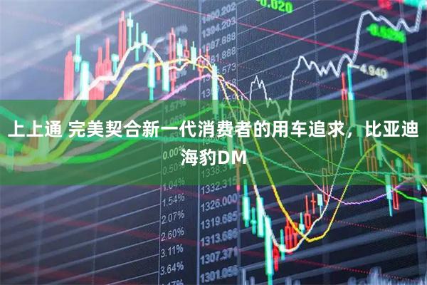 上上通 完美契合新一代消费者的用车追求，比亚迪海豹DM