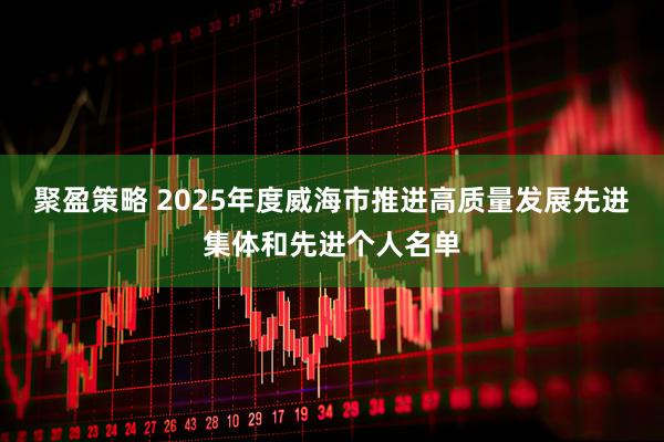 聚盈策略 2025年度威海市推进高质量发展先进集体和先进个人名单