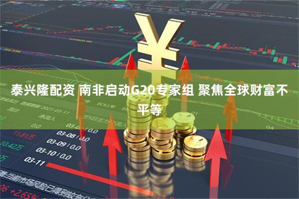 泰兴隆配资 南非启动G20专家组 聚焦全球财富不平等